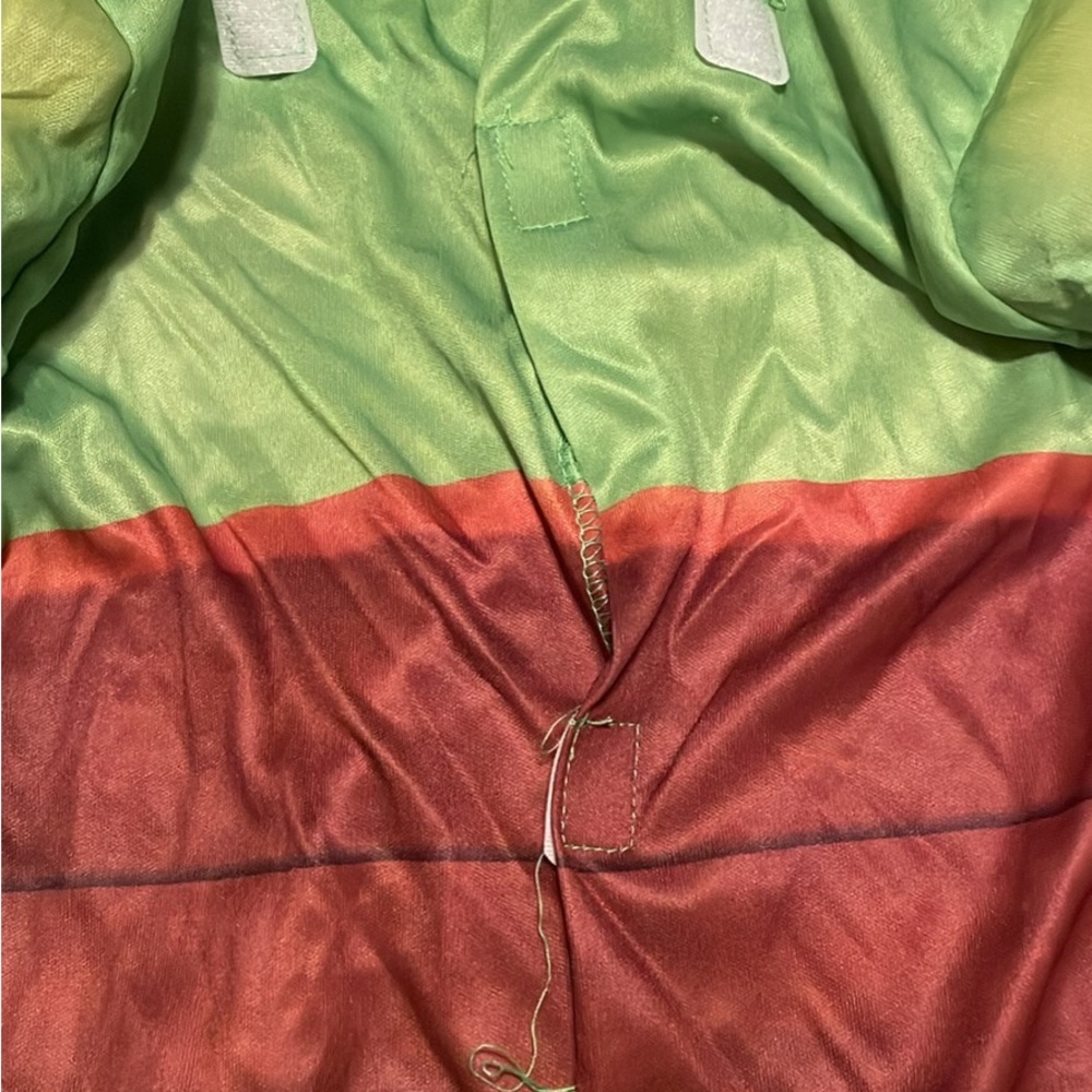 TMNT costume - Picture 3 of 7
